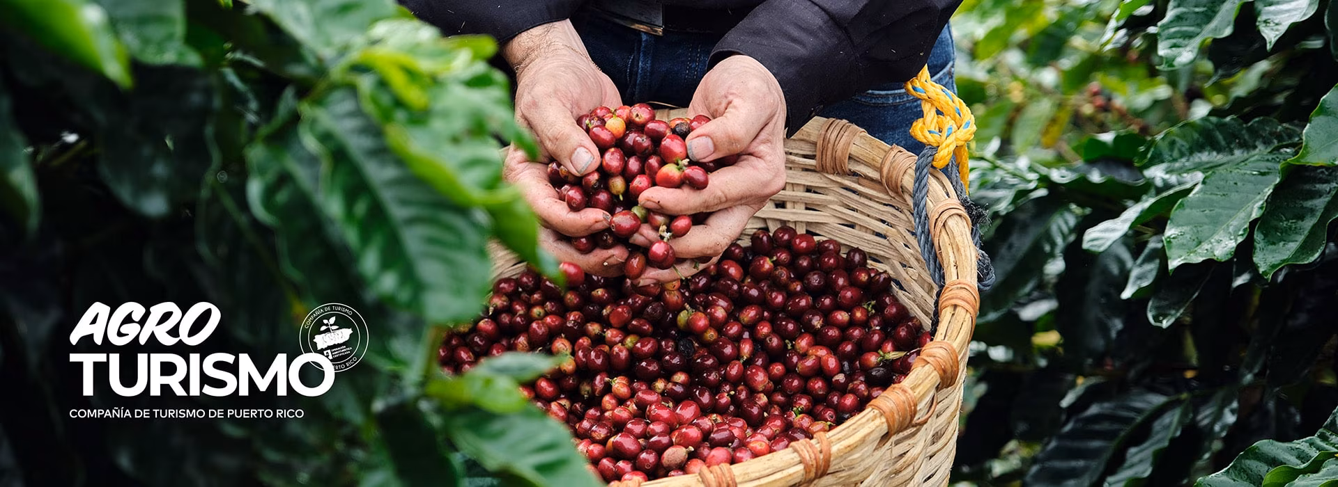 Agrotourism Puerto Rico