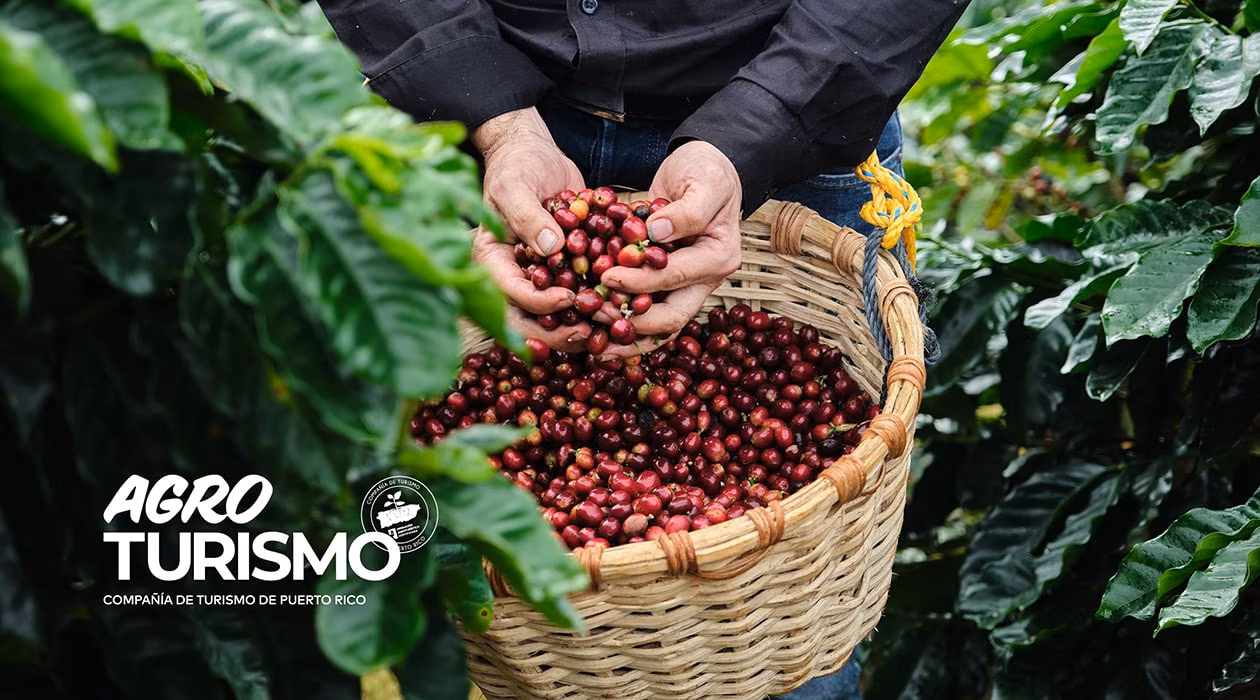Agrotourism Puerto Rico
