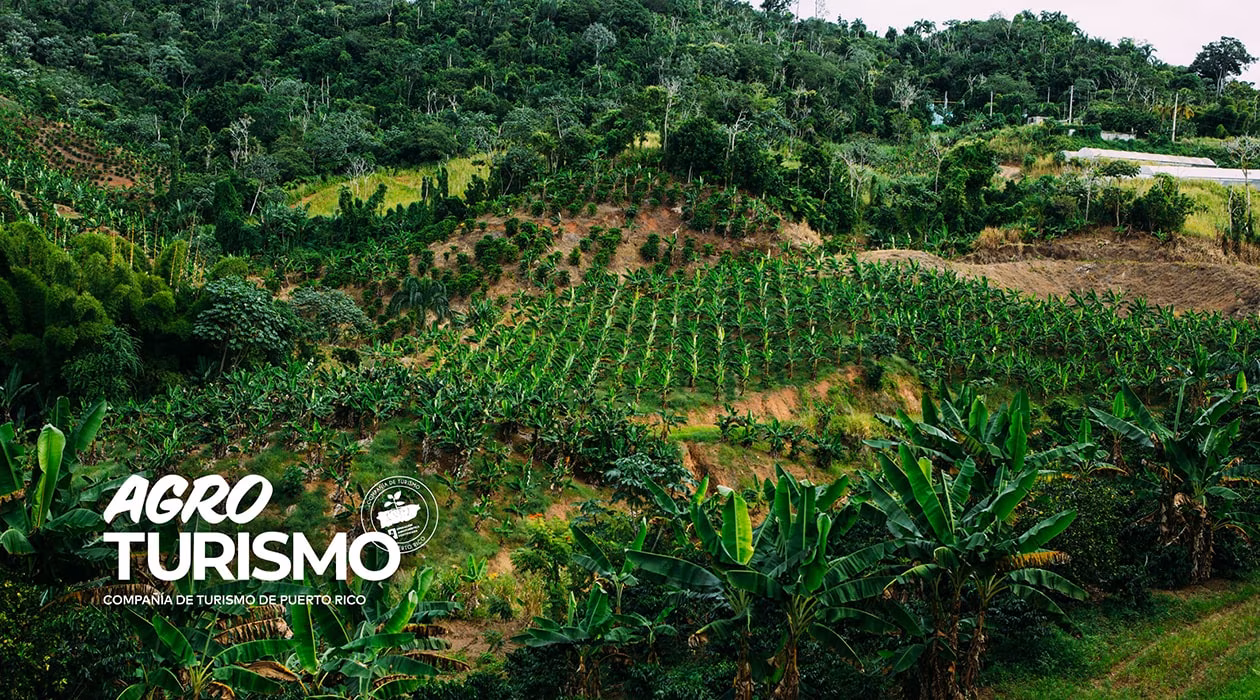 Agrotourism Puerto Rico