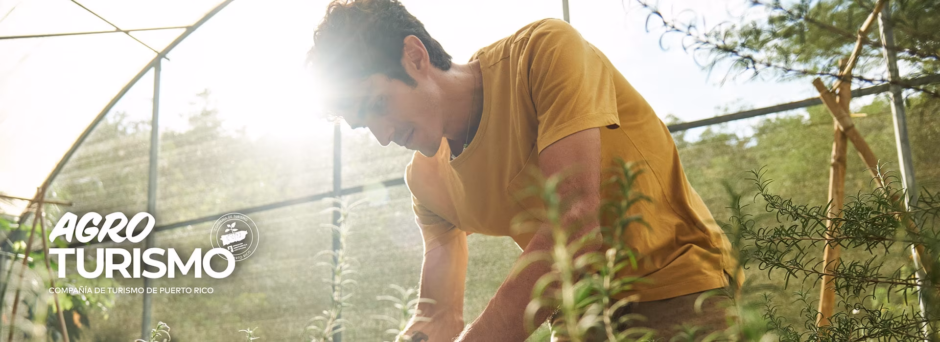 Agrotourism Puerto Rico